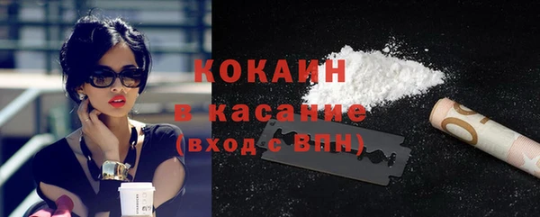 мдпв Снежногорск