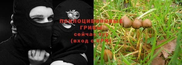 ГАЛЛЮЦИНОГЕННЫЕ ГРИБЫ Снежинск