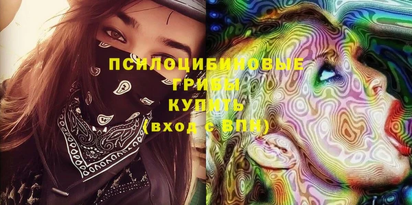 мдпв Снежногорск