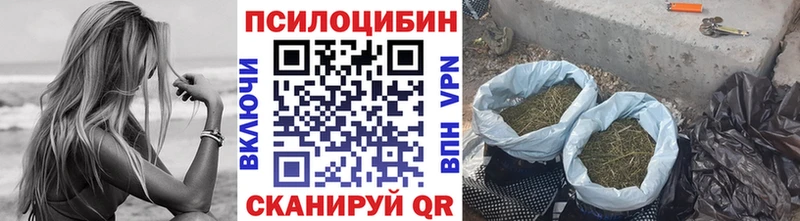 kraken зеркало Махачкала Псилоцибиновые грибы мухоморы даркнет сайт